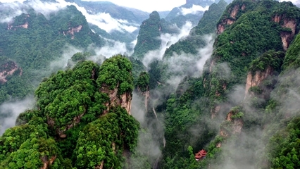 张家界武陵源 “旅游+”模式，激活全域旅游新动能