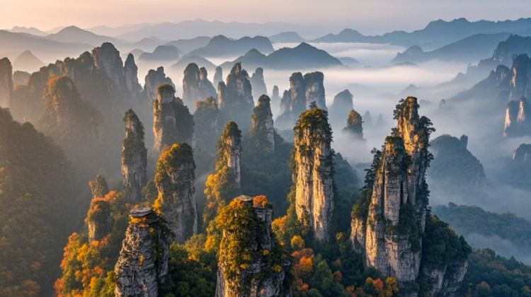 从张家界森林公园到长沙 一场穿越奇峰与都市的旅程