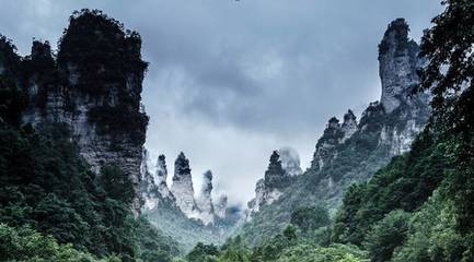 暑期旅游预测发布 避暑胜地迎客流高峰，四大特色产品点亮张家界之旅