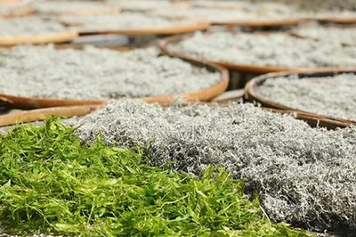 清明踏青张家界，从西藏出发的贴心行囊指南