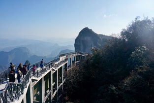 张家界旅游怎么样？深度解析张家界旅行的迷人之处与实用建议