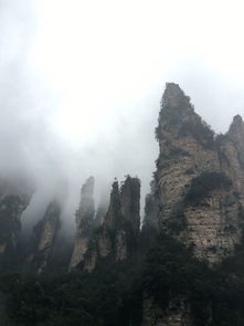张家界旅游怎么样——探秘人间仙境的真实体验